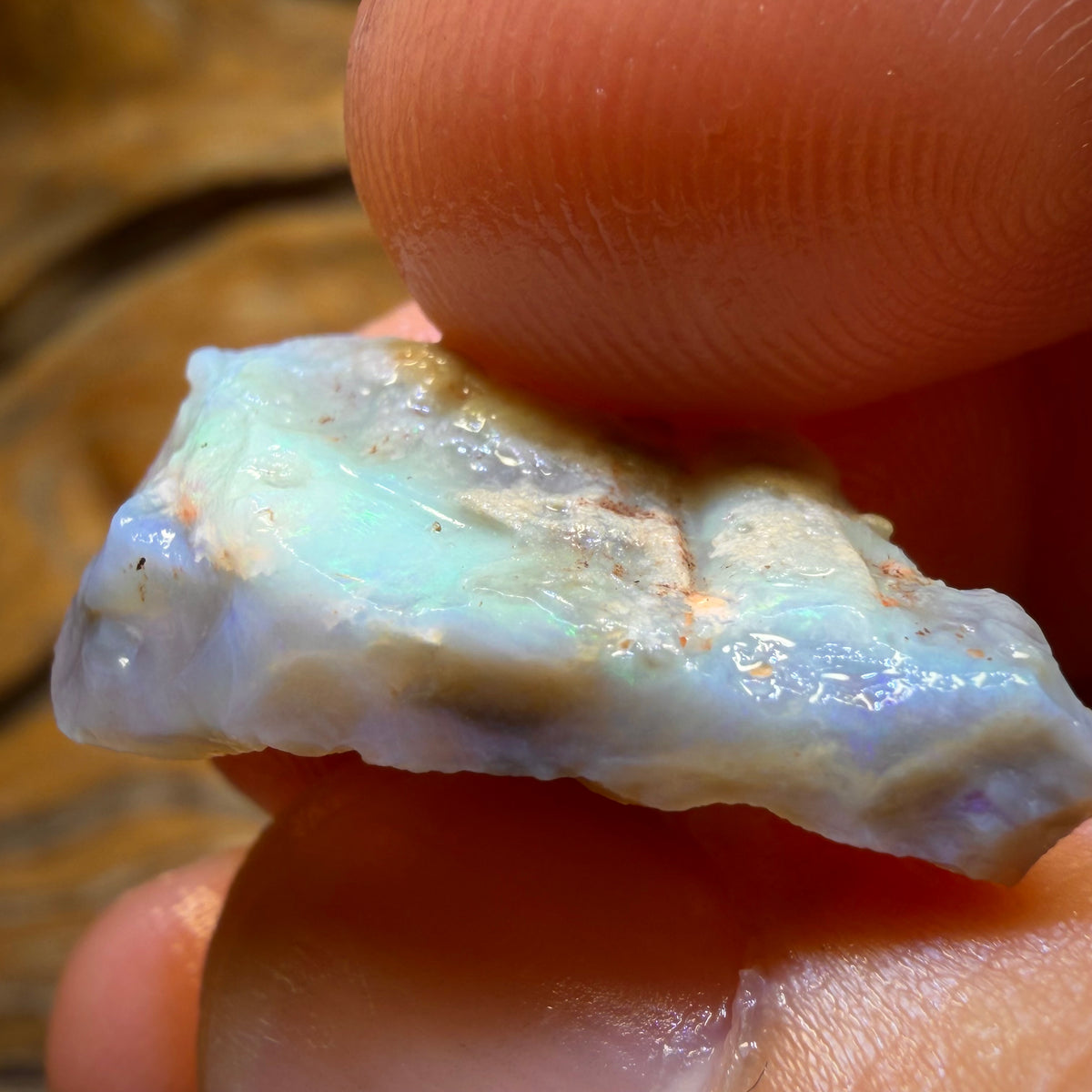 12.7cts - Lightning Ridge Dark Opal Rough Piece