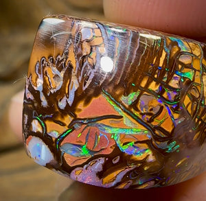 58cts - Yowah Nut Opal Polished Specimen. Tribal Pattern