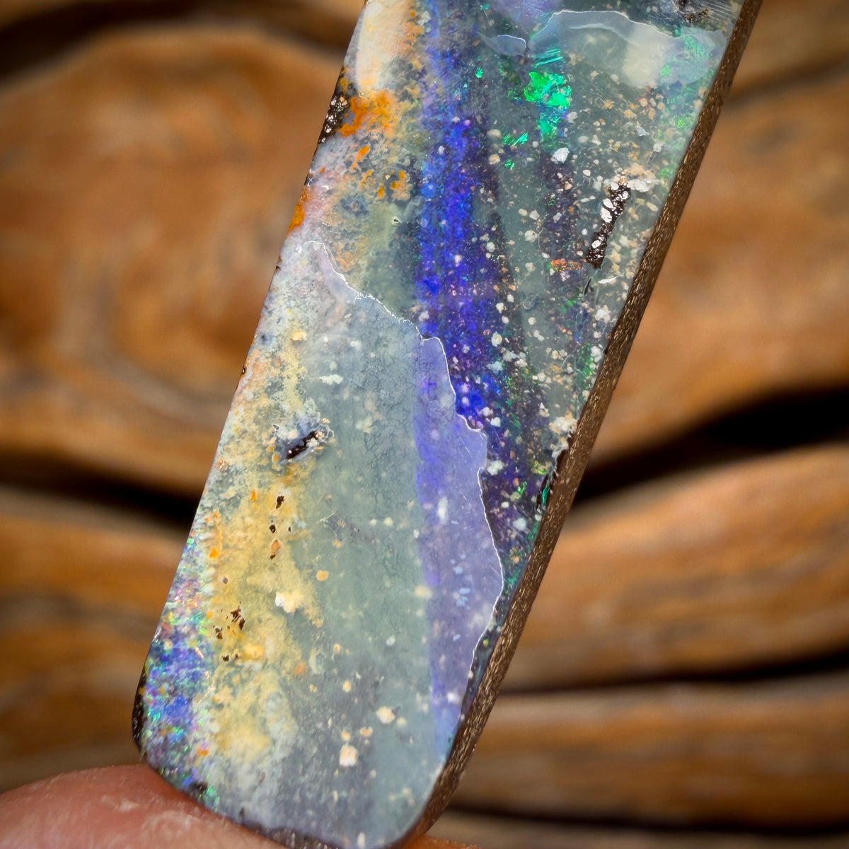 WILDCARD! 22.1cts - Australian Boulder Seam Opal