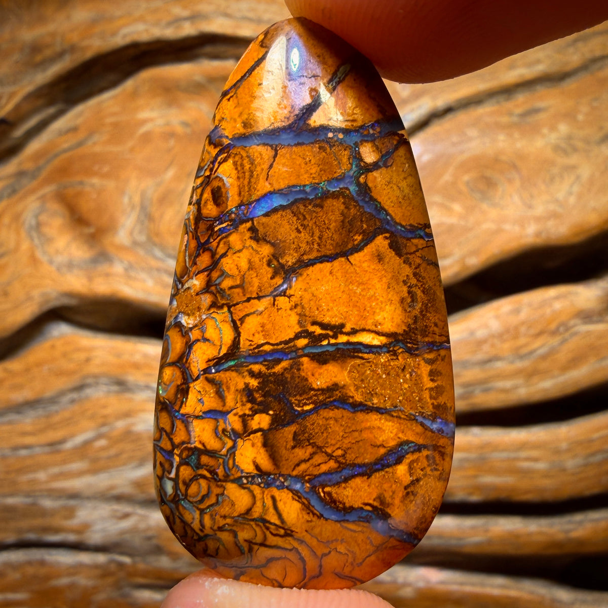 39.5cts - Tribal Queensland Boulder Opal from Yowah