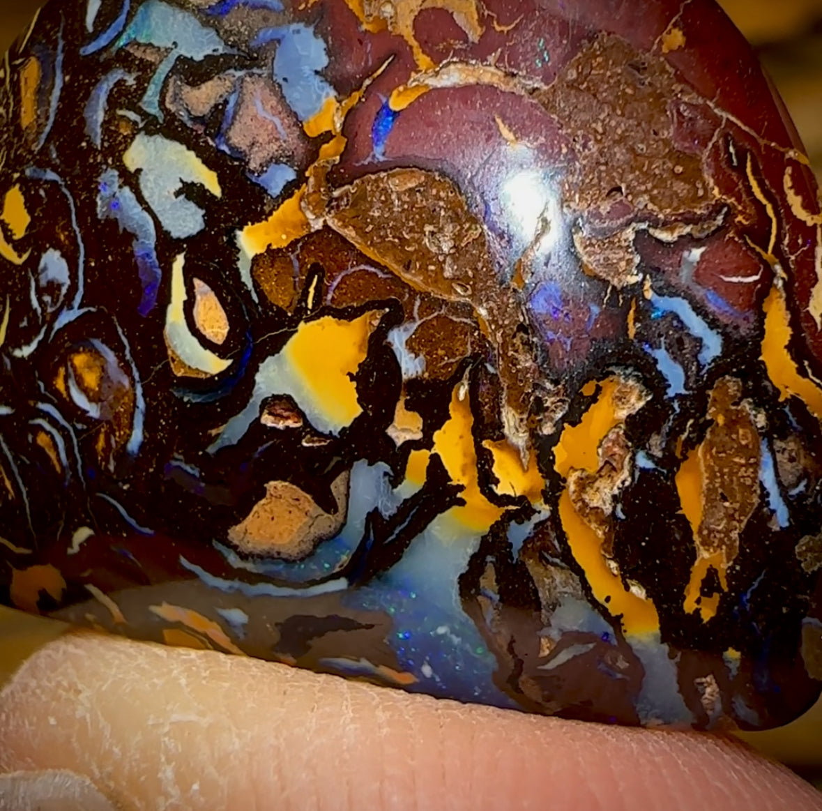 33.4cts - Tribal Queensland Boulder Opal from Koroit