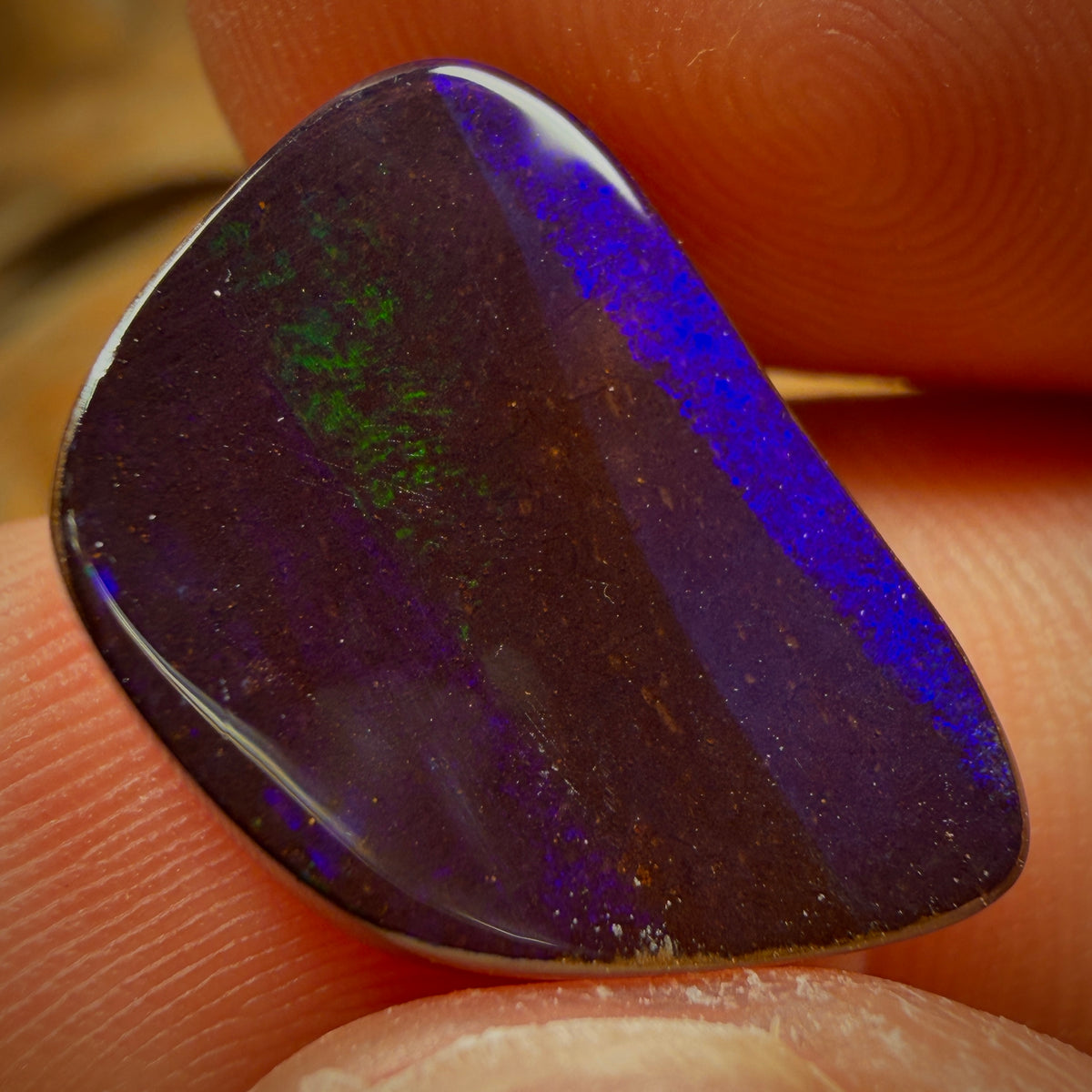 11.1cts - Queensland Boulder Seam Opal
