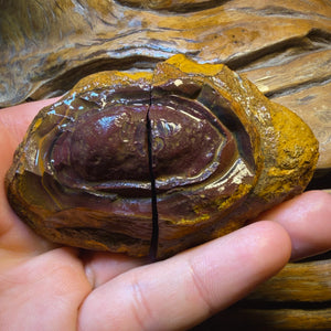 923.8cts - Huge SUPER RARE “Celebrity Rough” Yowah Nut Crystal Centre Pair. Found on ‘OUTBACK OPAL HUNTERS’!