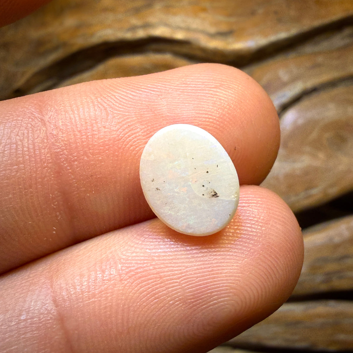 🔨 AUCTION 🔨 No Reserve 2.8cts - South Australian White Opal from Coober Pedy