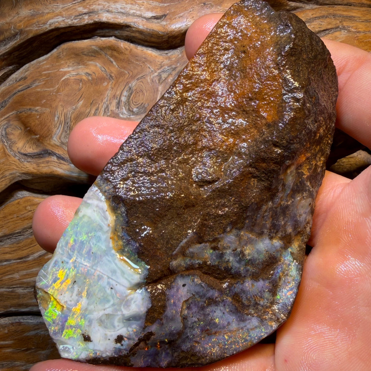 838.5cts - Amazing Queensland Boulder Seam Opal Rough Piece. Natural Split
