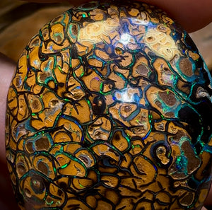 258.1cts - “Crazy Eyes” Top Tribal Yowah Nut Opal Pair. Double Sided