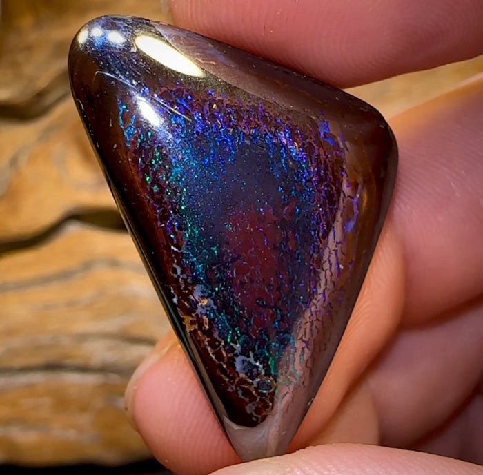 (Template) 34.5cts - Tribal Koroit Nut. Dark Ironstone - Opal Whisperers