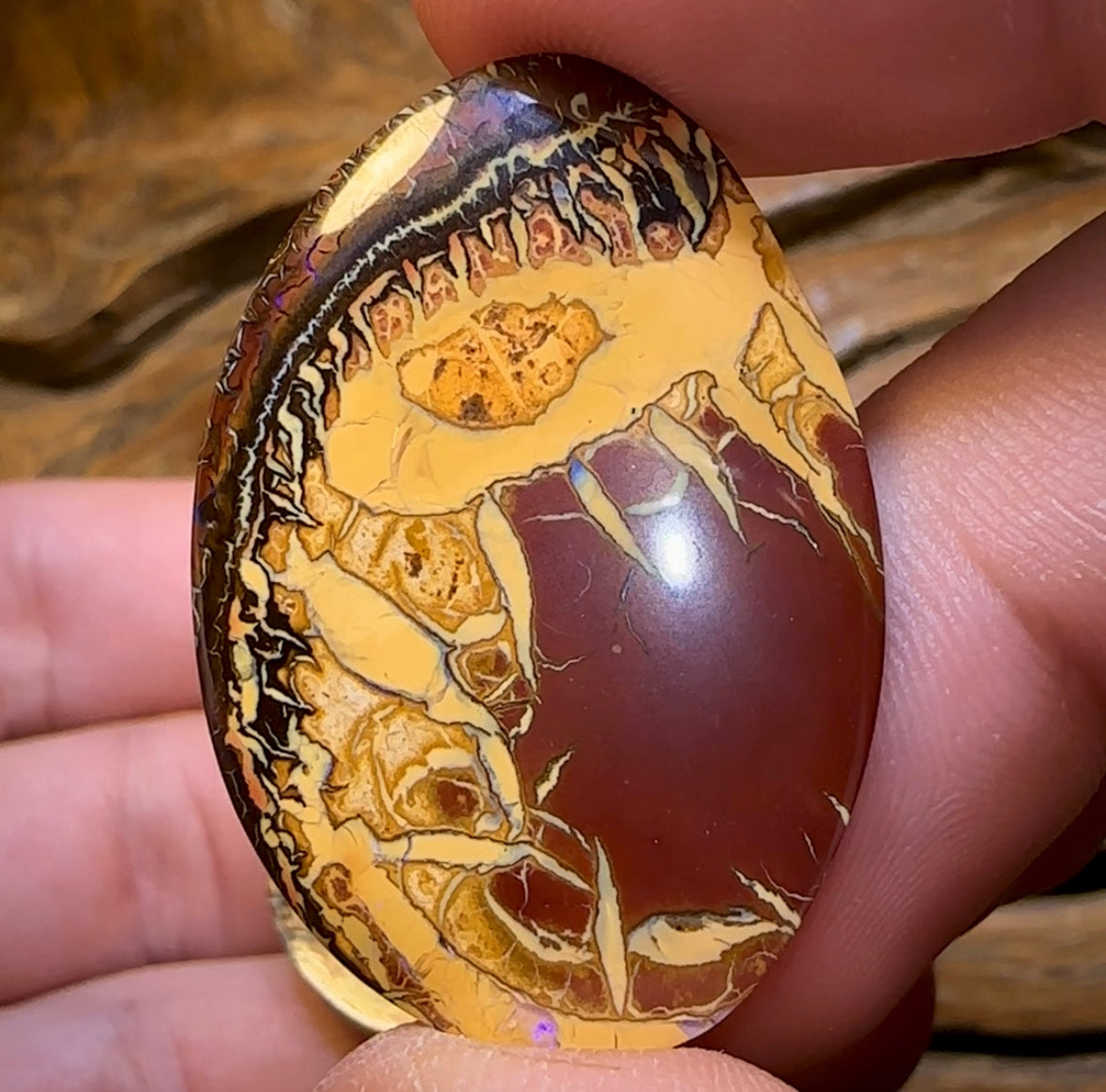 62.1cts - Yowah Nut Opal Pair. Best Double Sided  TRIBAL PATTERN - Opal Whisperers