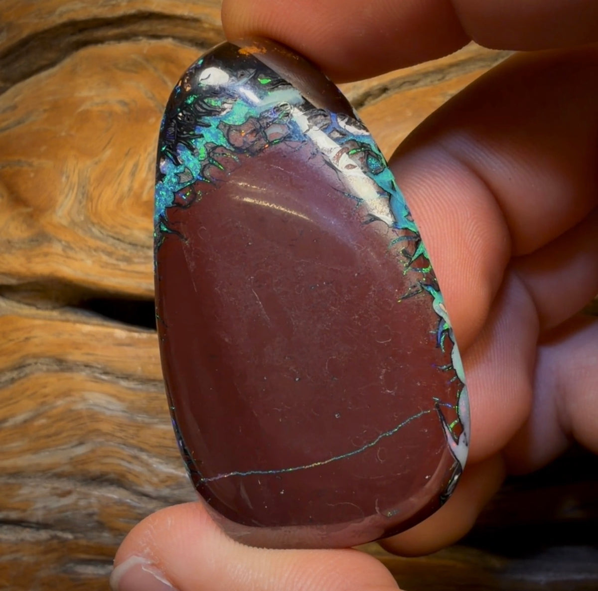 249.2cts - “Tribal Nebula” TOP GEM Tribal Australian Boulder Opal from Koroit