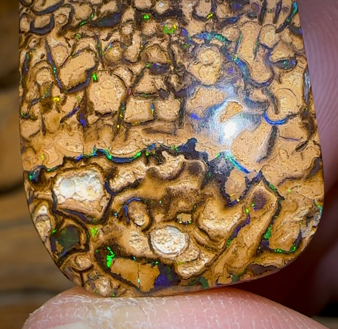 57.1cts - Yowah Nut Tan Tribal Opal. Australian Opal - Opal Whisperers
