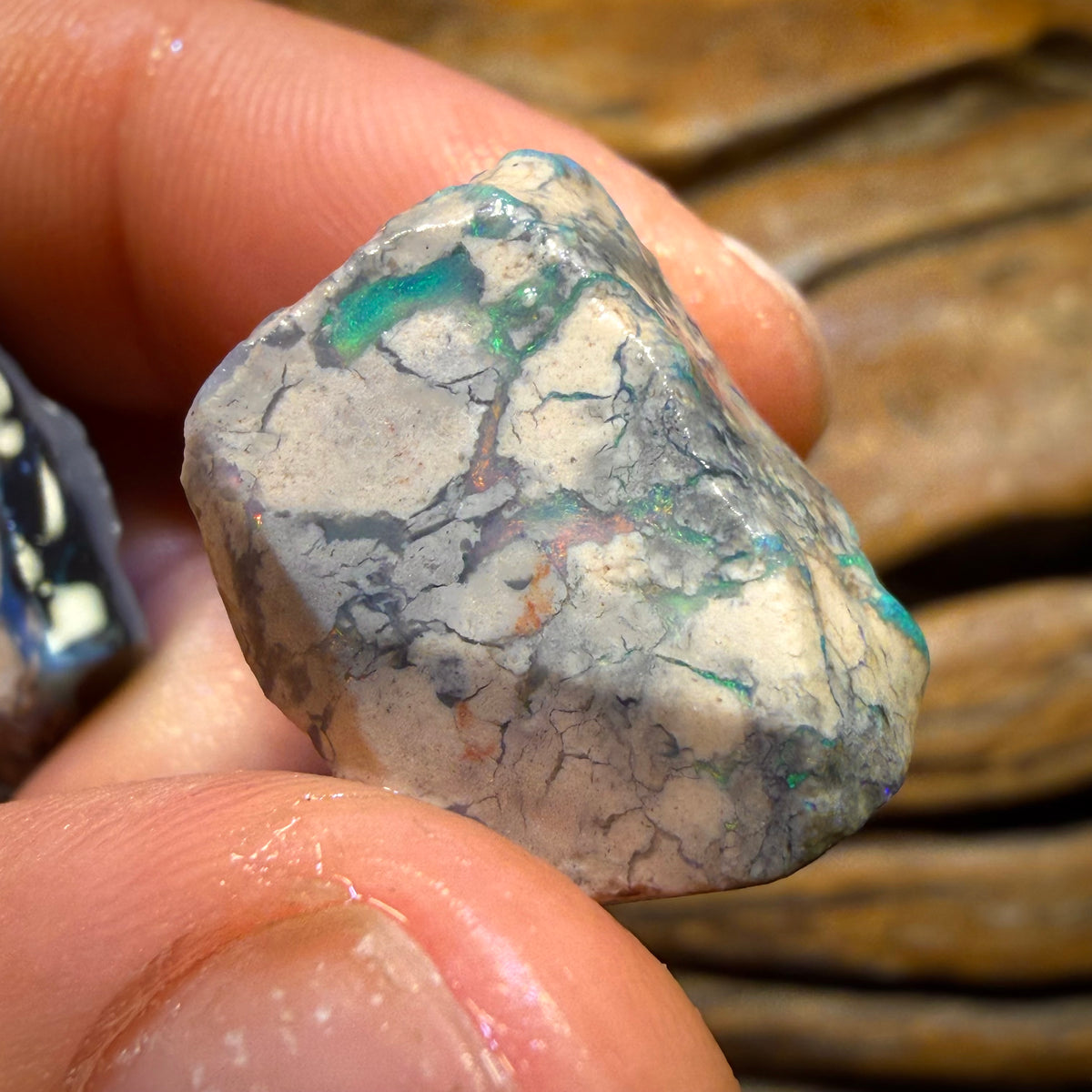 167.1cts - 5x Lightning Ridge Opal Rough Parcel