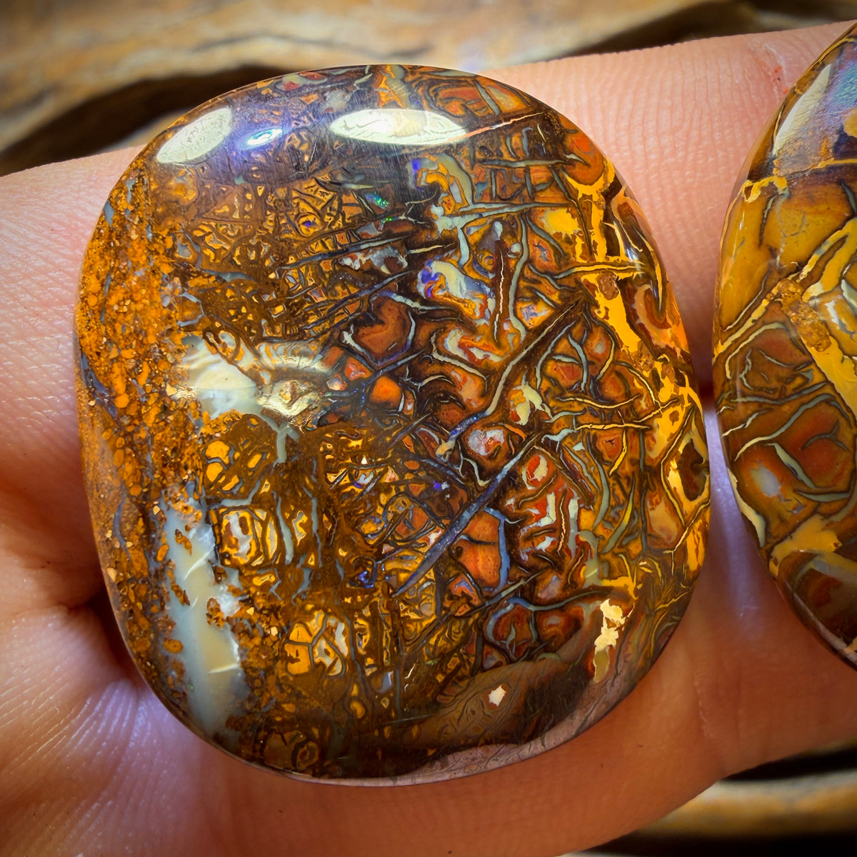 124.7cts - Tribal Queensland Boulder Opal Pair