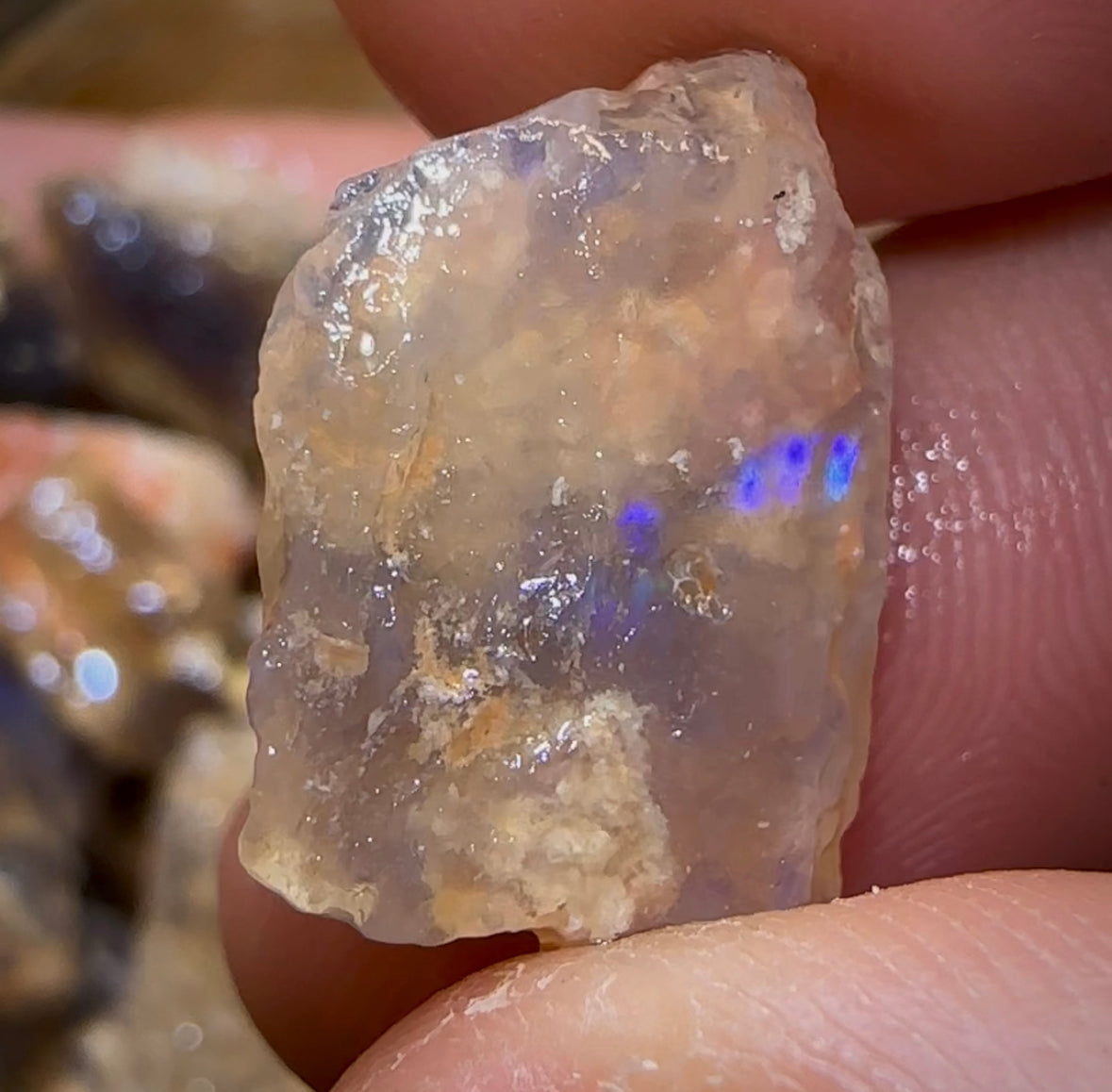 200.2cts - 25x Lightning Ridge Fossil Replacement Opal Rough Parcel Under $2/Ct - Opal Whisperers