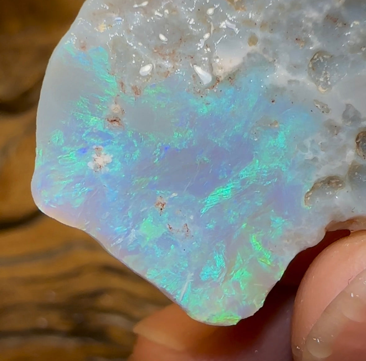 47.5cts - Dark Opal Rough Piece from Lightning Ridge. - Opal Whisperers