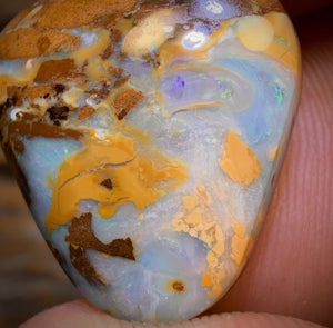 19.8cts - Yowah Nut Opal. Australian Opal