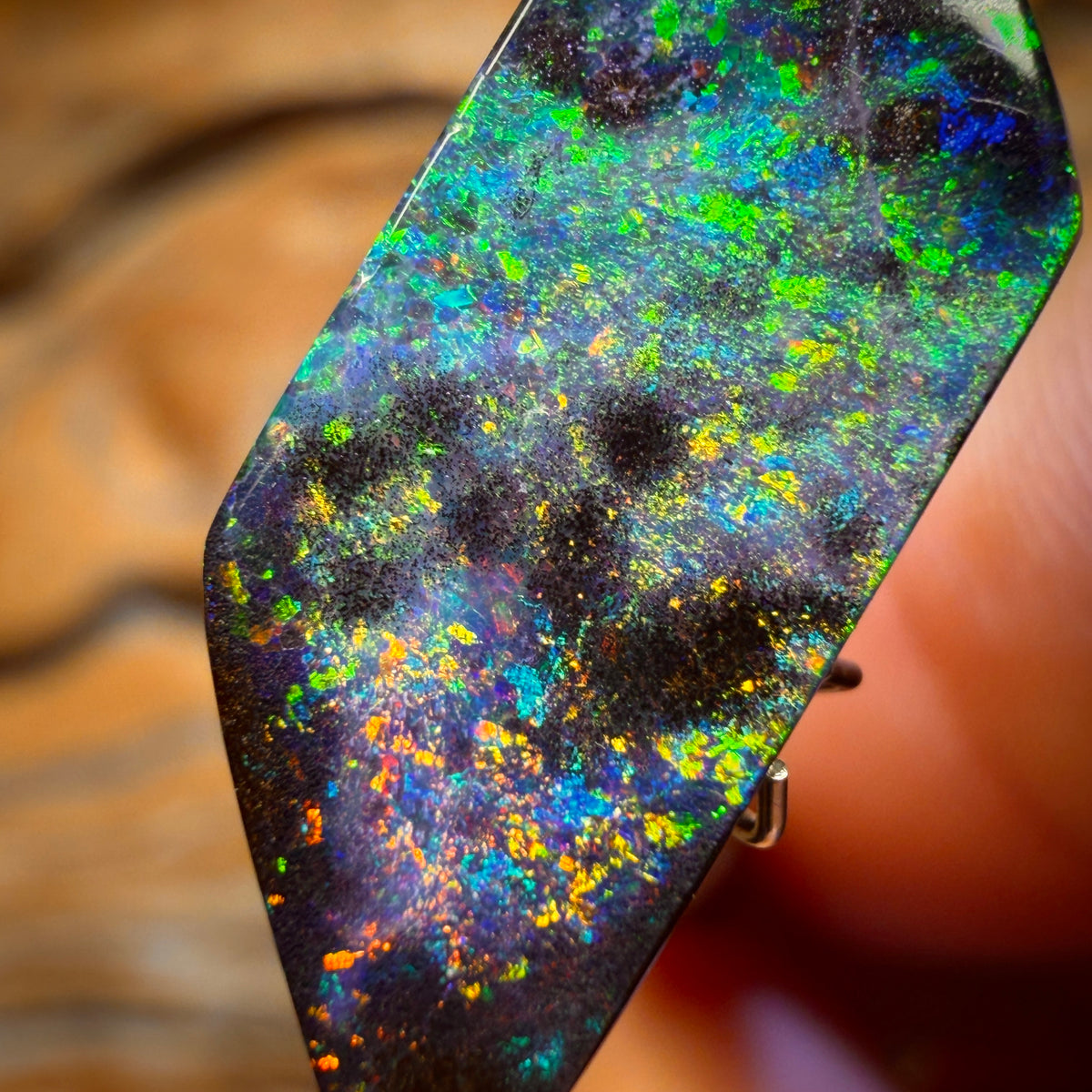 “Set in Stone” - Private Collector Investment - 10.9cts - Top Australian Boulder Seam Opal