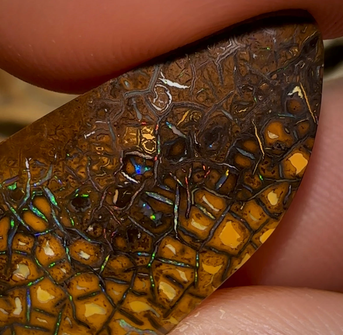 38cts - ‘Green Honey’ Tribal Queensland Boulder Opal - Opal Whisperers
