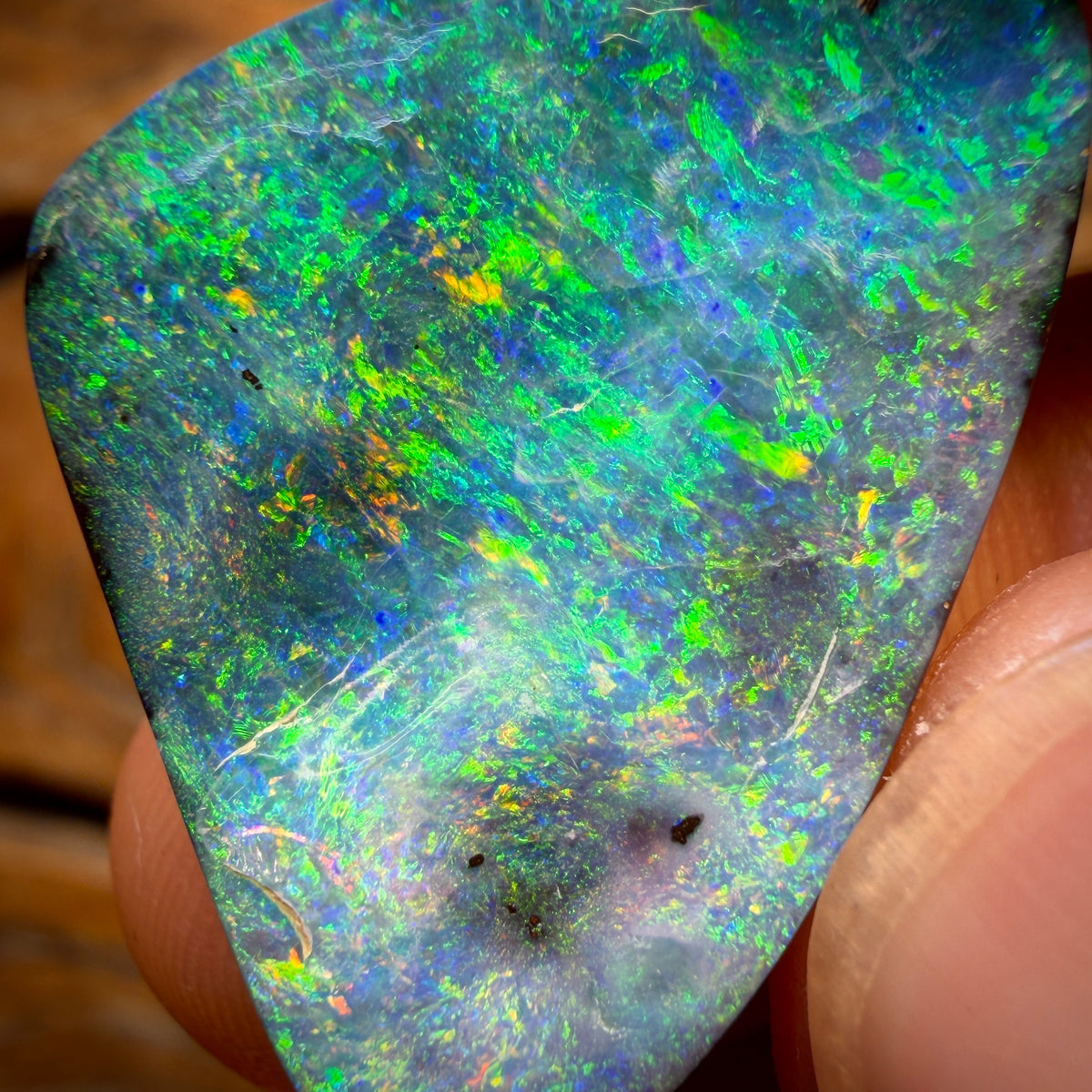 31.1cts - Gem Queensland Boulder Seam Opal