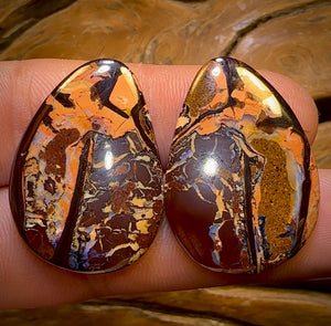 60.4cts - Tribal Queensland Boulder Opal Pair. Picture Pair