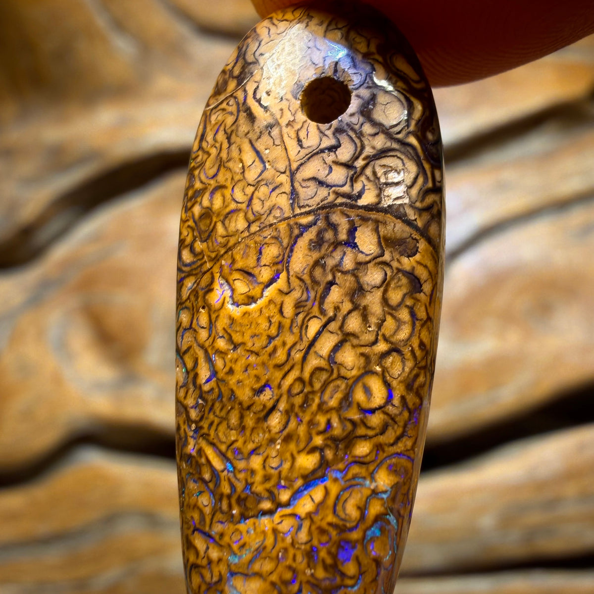 Bargain Card! 35 x 12mm - Drilled Tribal Queensland Boulder Opal