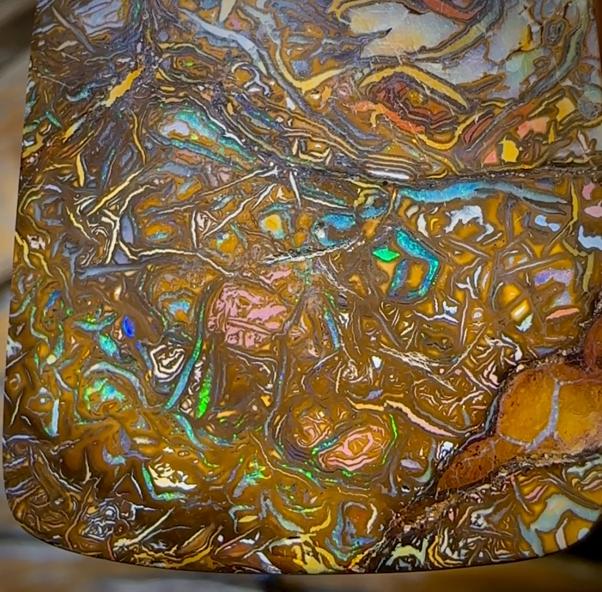 37 x 28mm - Wow Tribal Drilled Tan Boulder Opal Necklace