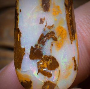 14.1cts - Yowah Nut Opal. Australian Opal