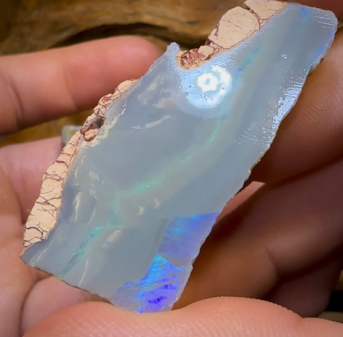 131.5cts - 2x Lightning Ridge Large Dark Opal Rough Pieces - Opal Whisperers