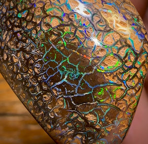 151.3cts - Top Tight Tribal Yowah Nut Opal