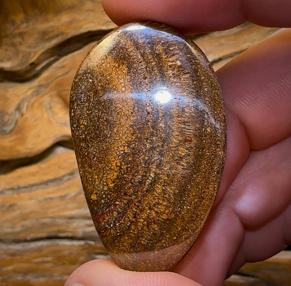 145.5cts - Large Queensland Boulder Opal. Yowah Tribal - Opal Whisperers