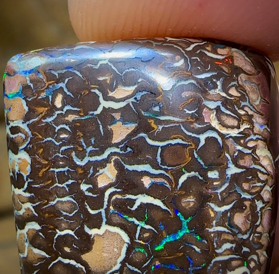 72.9cts - Yowah Nut Opal. Top Tribal Pattern - Opal Whisperers