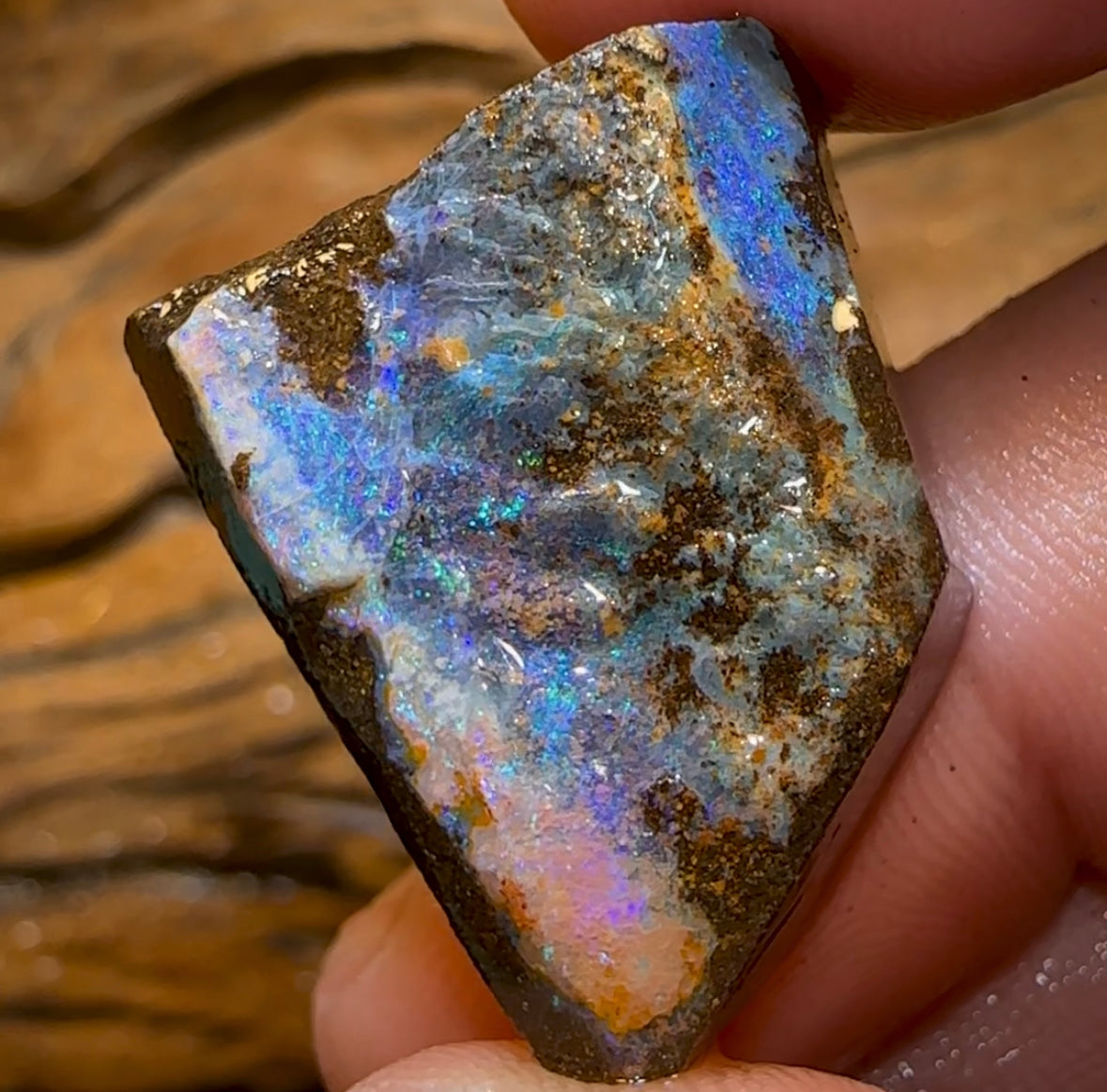 53.8cts - Australian Boulder Opal Rough Preform. Natural Split - Opal Whisperers