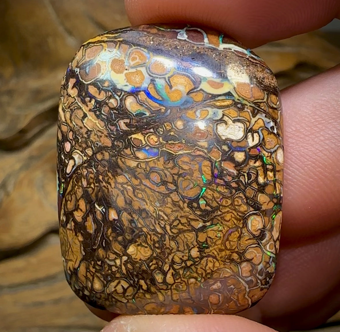 69.3cts - Yowah Nut Opal. Tribal Pattern - Opal Whisperers