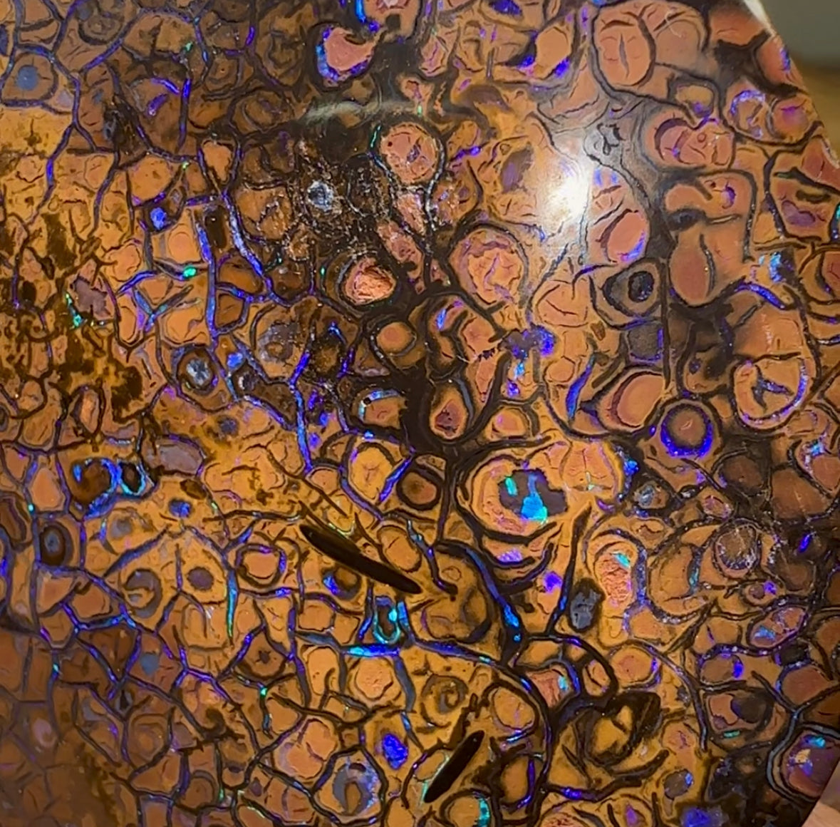 342.7cts - Yowah Nut Opal Specimen Pair. TRIBAL PATTERN - Opal Whisperers