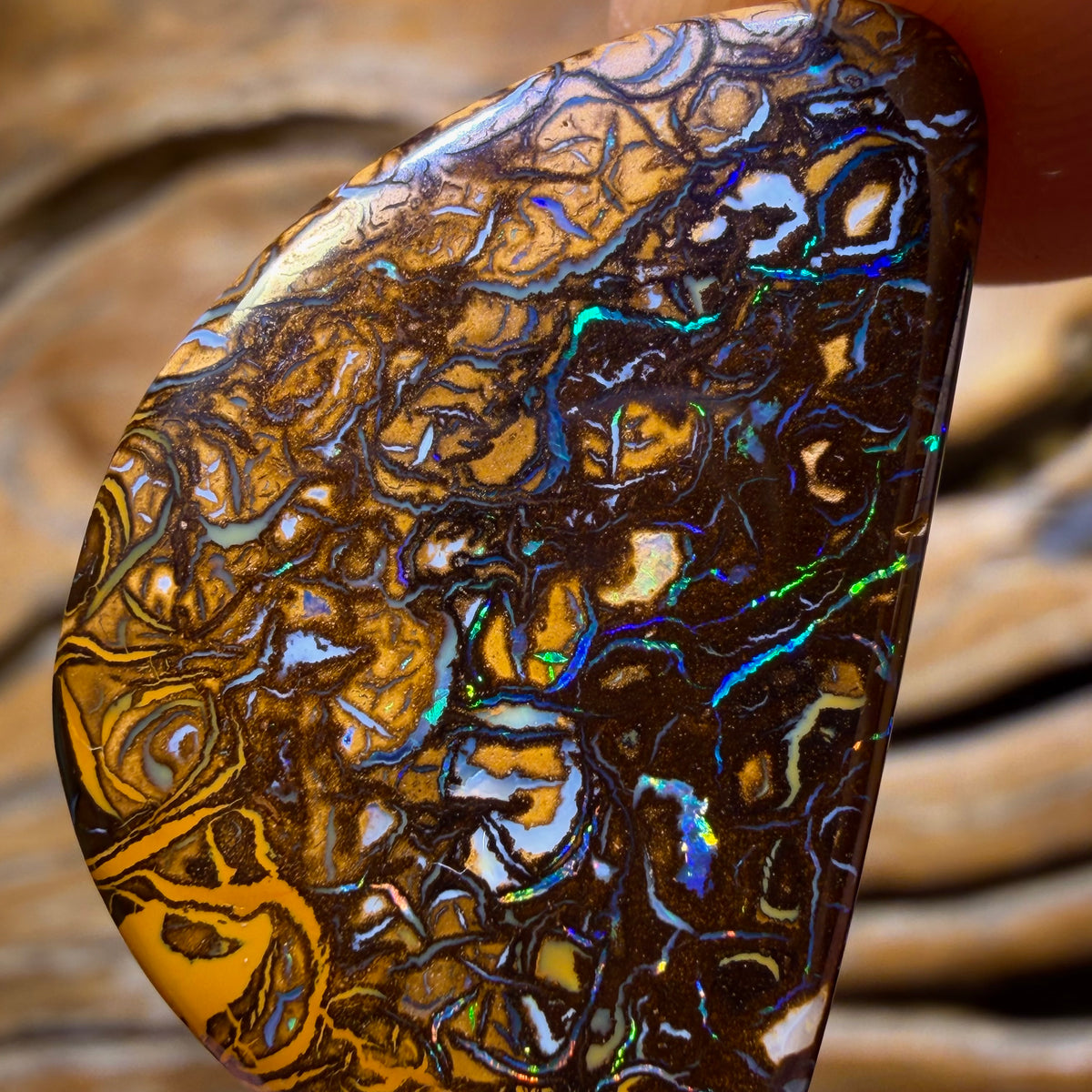 32.6cts - Tribal Queensland Boulder Opal from Yowah