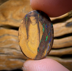 13.3cts - Queensland Boulder Opal from Yowah