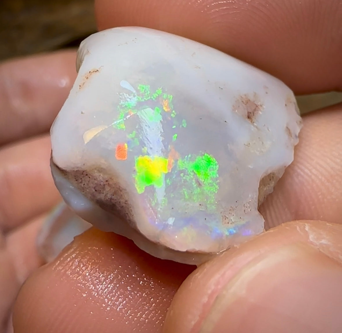 The 86.6cts - 4x Opalised Shell Geological Specimens from South Australia - Opal Whisperers