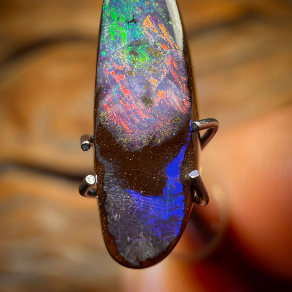 🔨 AUCTION 🔨 Reserve 💎 High Roller Banger Auction 💎 2.5cts - Black Queensland Boulder Seam Opal from Winton