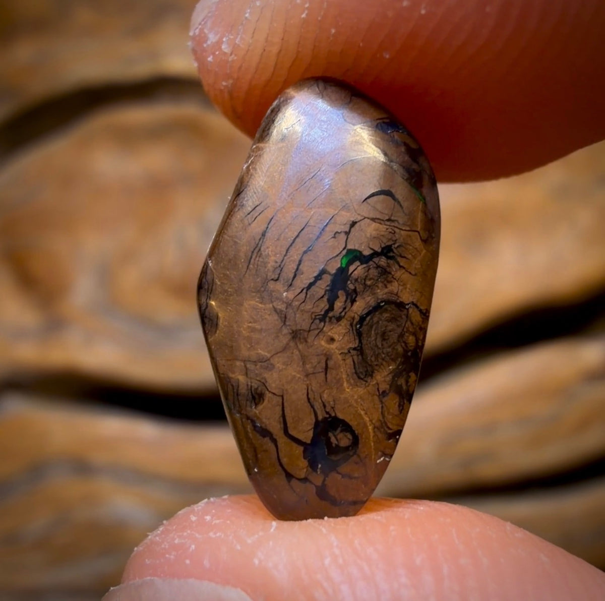 5.15cts - ‘Green Wave’ GEM Queensland Boulder Seam Opal