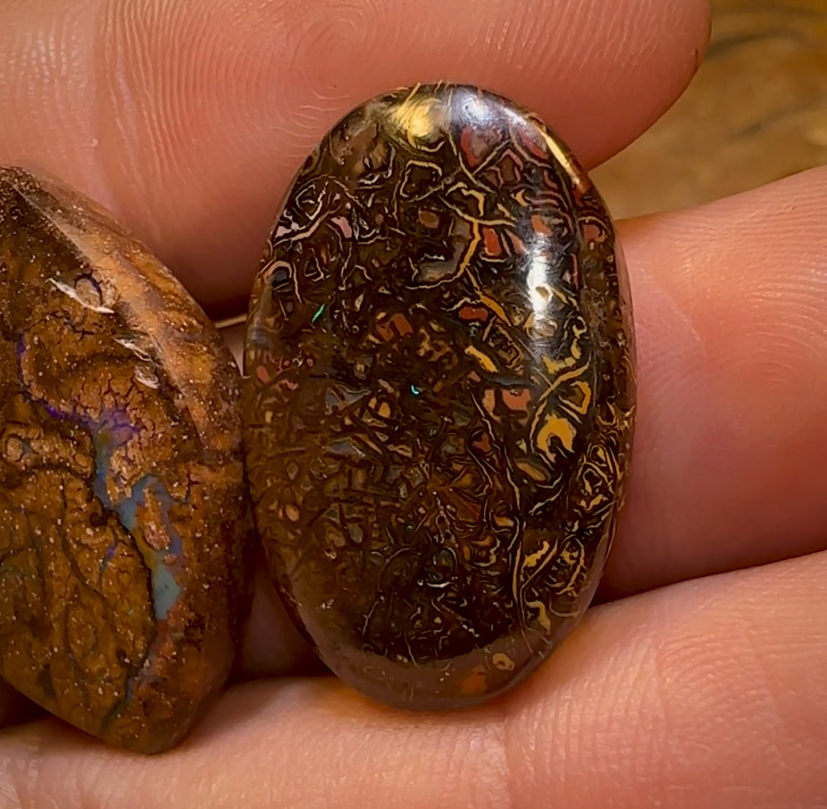 🔨 AUCTION 🔨 No Reserve 59.3cts - 3x Loose Queensland Boulder Opals. Parcel