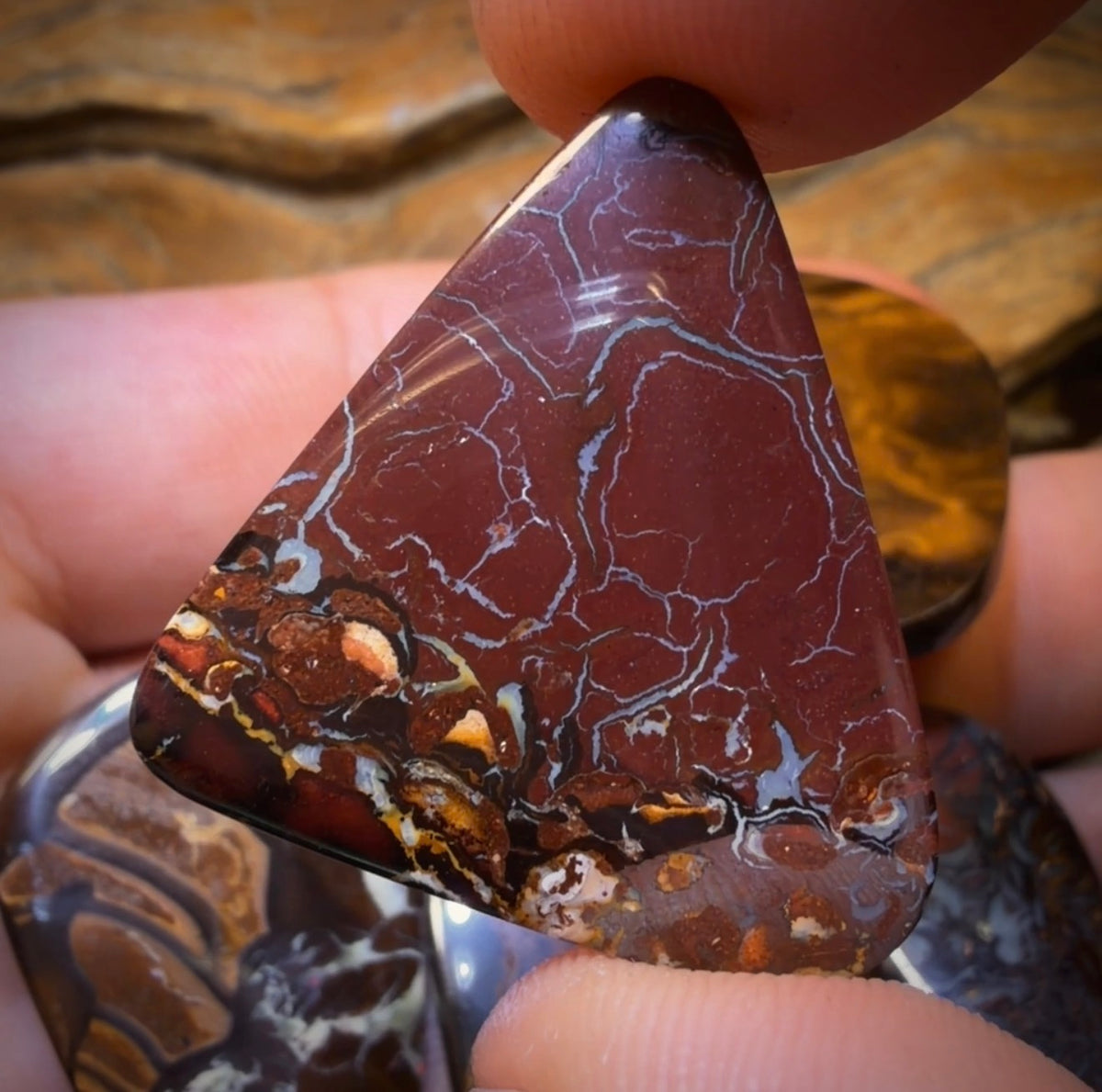 157.2cts - 5x Australian Boulder Opal’s. Wholesale Dealers Parcel