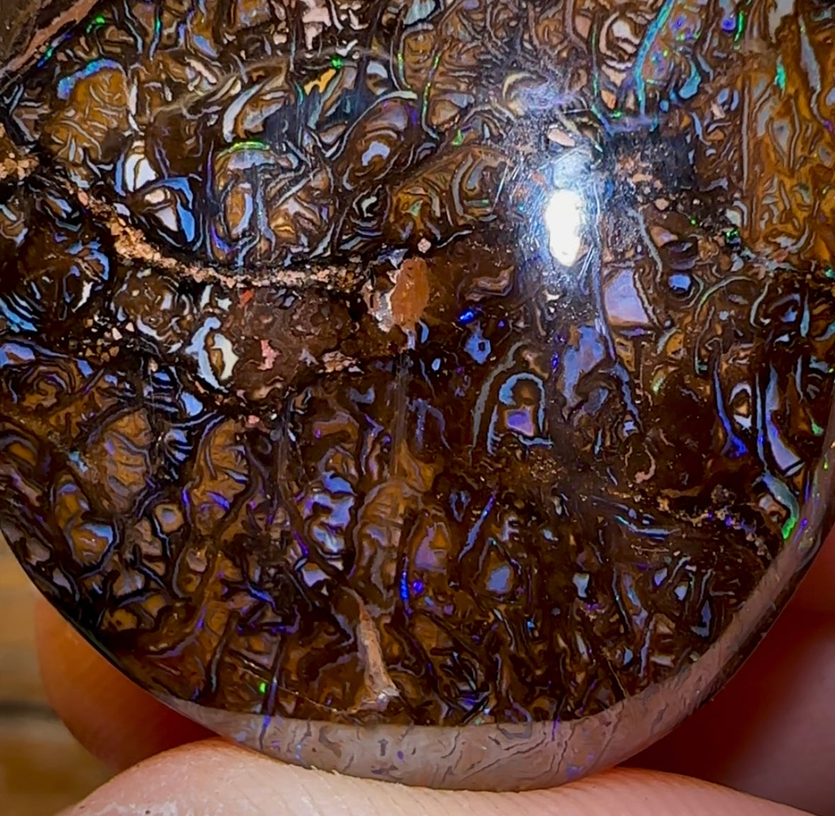 95.5cts - Double Sided Queensland Boulder Opal. koroit Tribal - Opal Whisperers