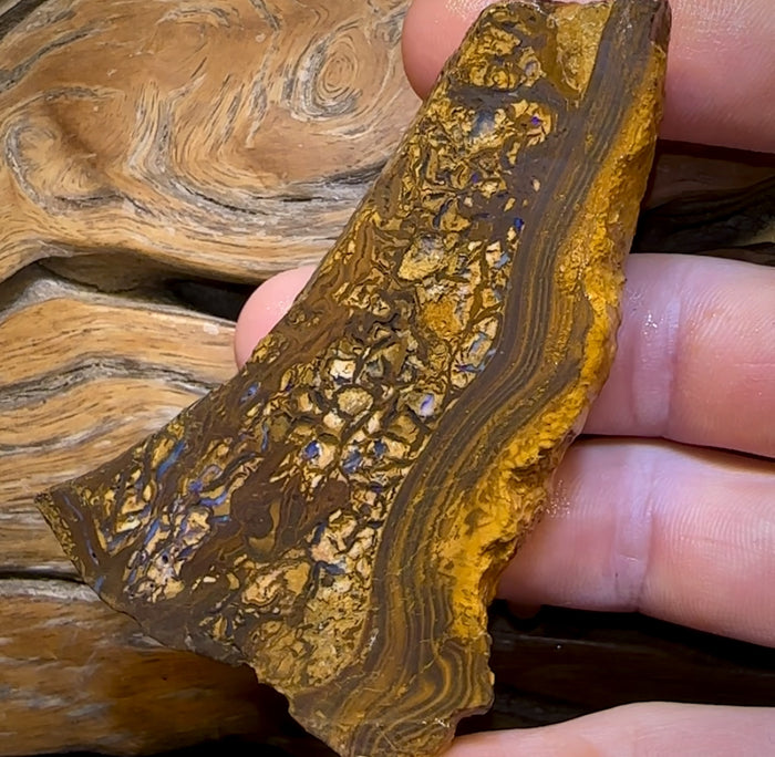 🔨 AUCTION 🔨 425cts - Queensland Boulder Opal Rough Piece