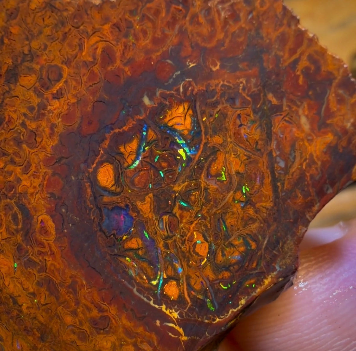 Wildcard! 169.2cts - Tribal Yowah Nut Opal Rough Pair. Australian Opal
