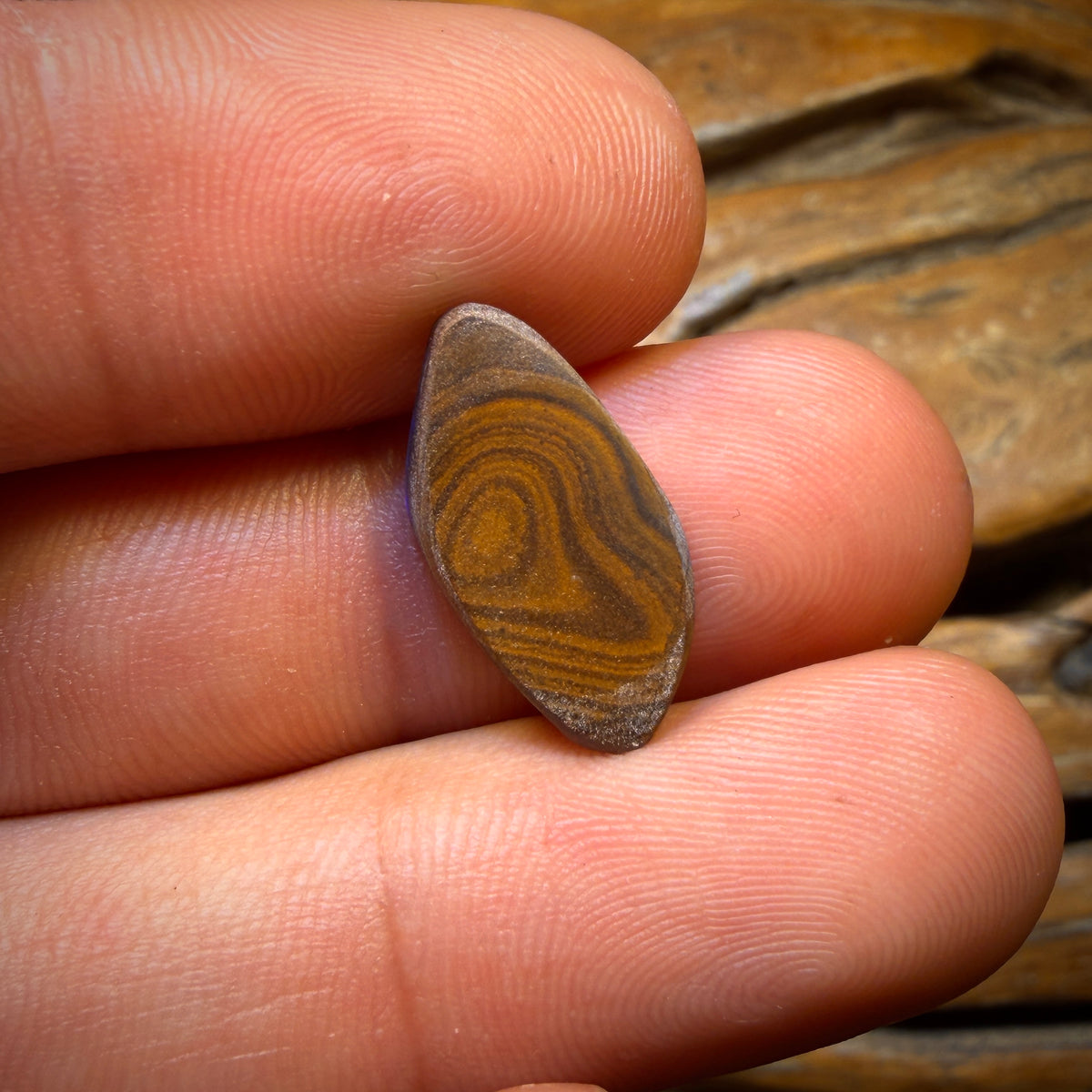 6cts - Queensland Boulder Seam Opal. Australian Opal Bargain