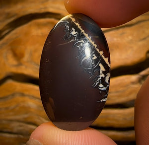 38.4cts - Queensland Boulder Opal from Koroit Great Landscape Picture Stone