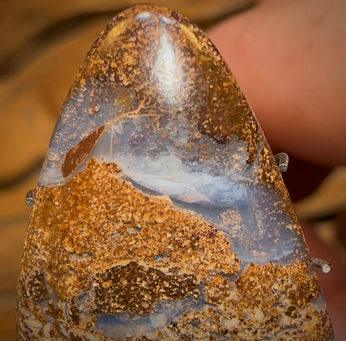 Auction Fall-Through = Your Gain! 🔥 Now More Than 50% Off RRP 🚨 15.9cts - Queensland Boulder Seam Opal BARGAIN