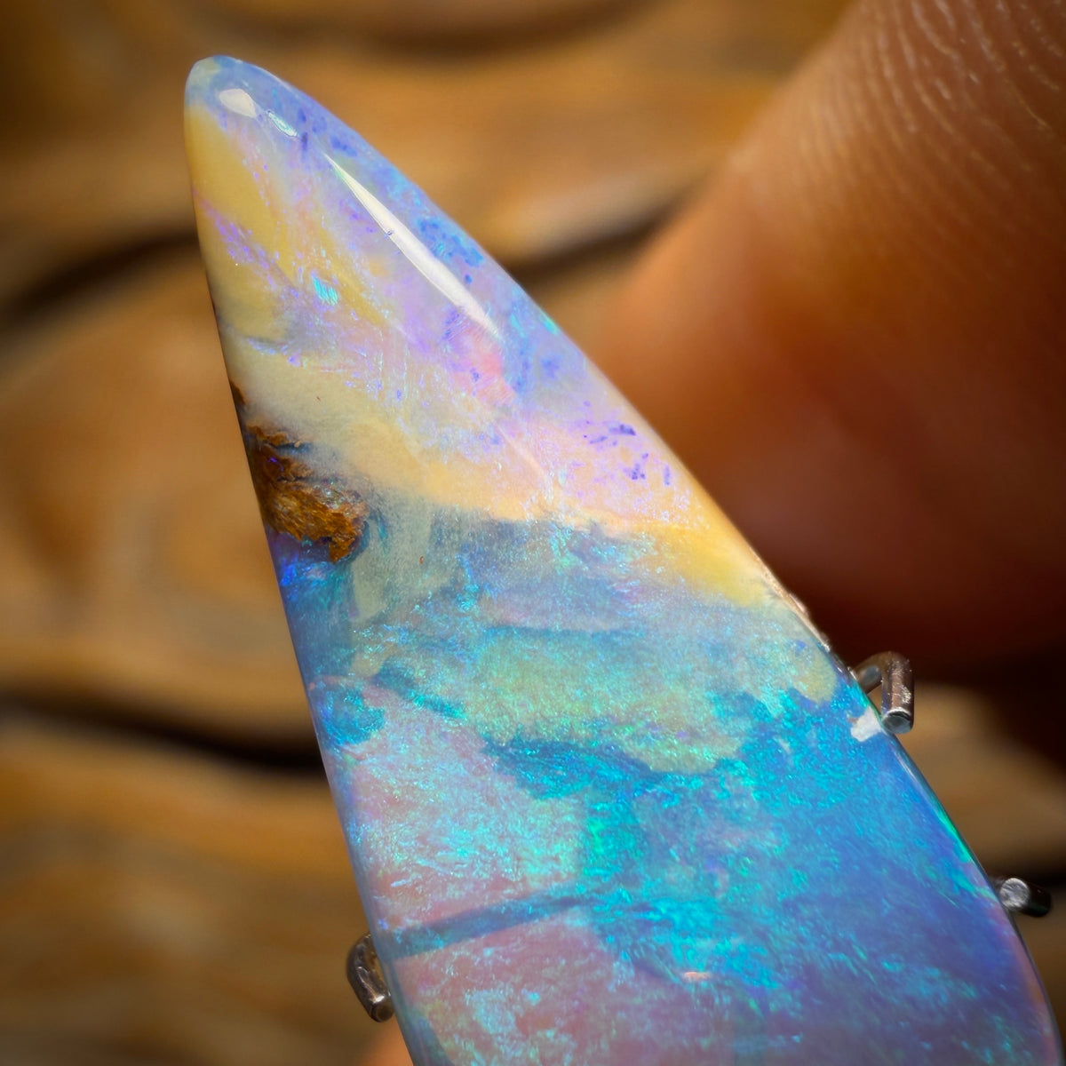4.5cts - Wood Fossil Replacement Boulder Opal from Yowah