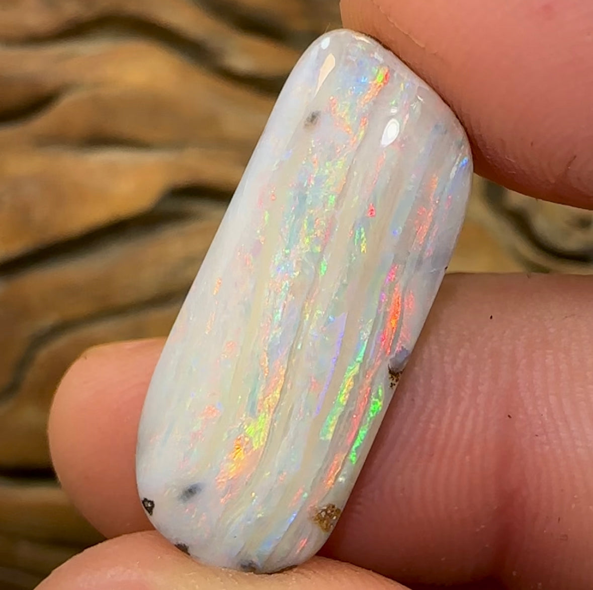 16.7cts - Solid Natural Light Boulder Opal with Striations - Opal Whisperers