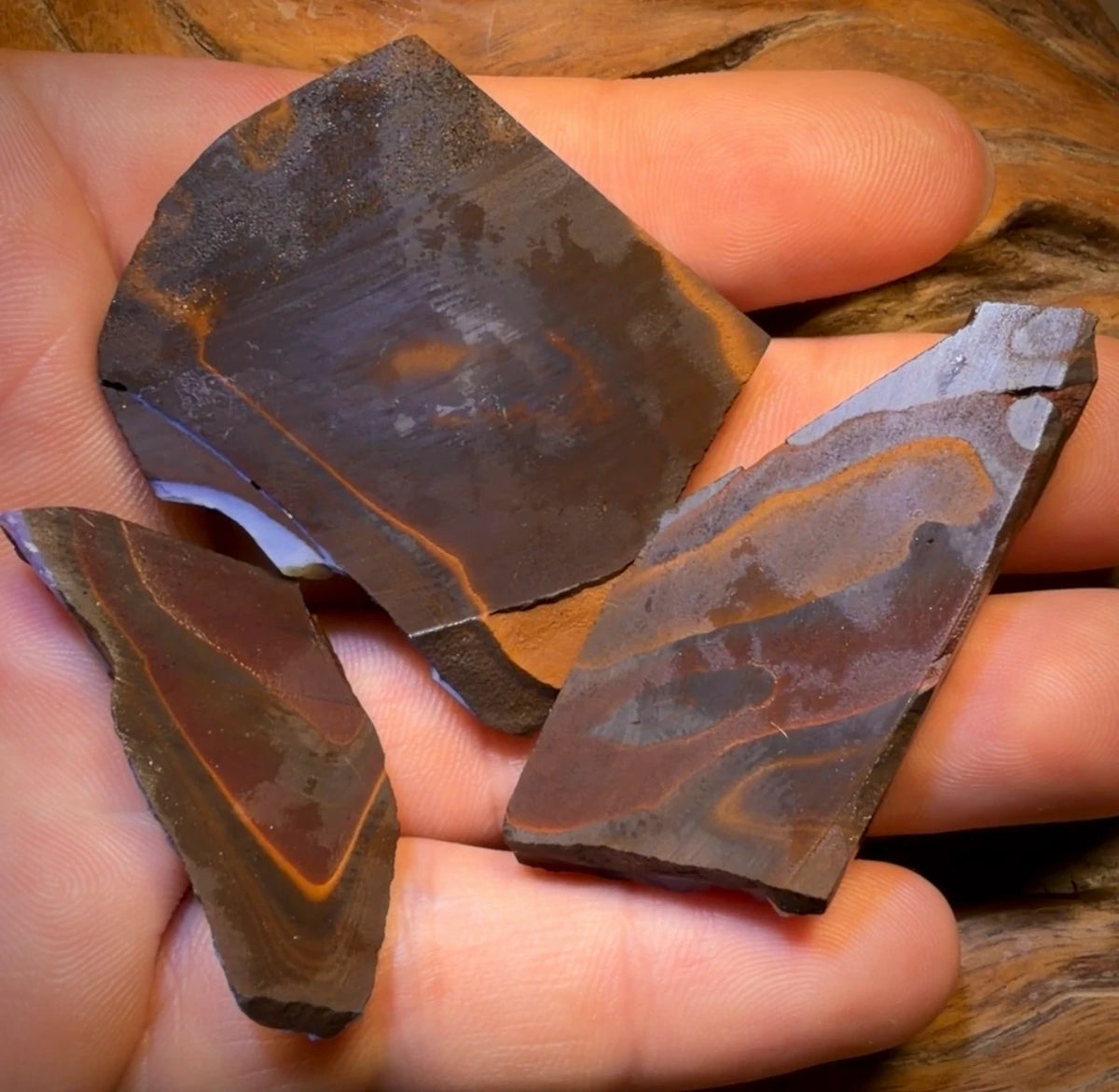 🔒 I’ve Got the Blues Collection 221.2cts - 3x Australian Boulder Seam Opal Rough Parcel