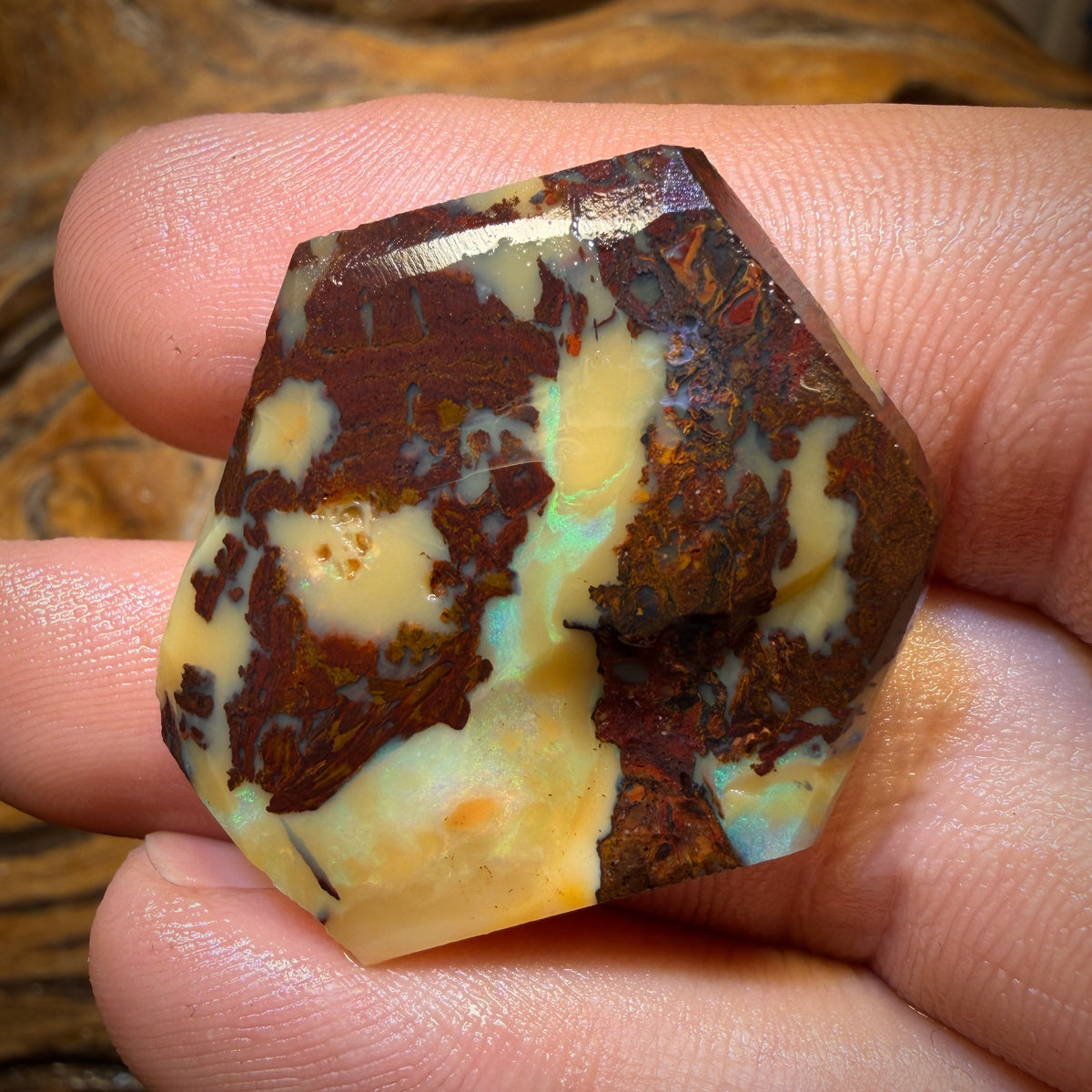 41.7cts - Yowah Nut Opal Rub Rough Boulder Preform
